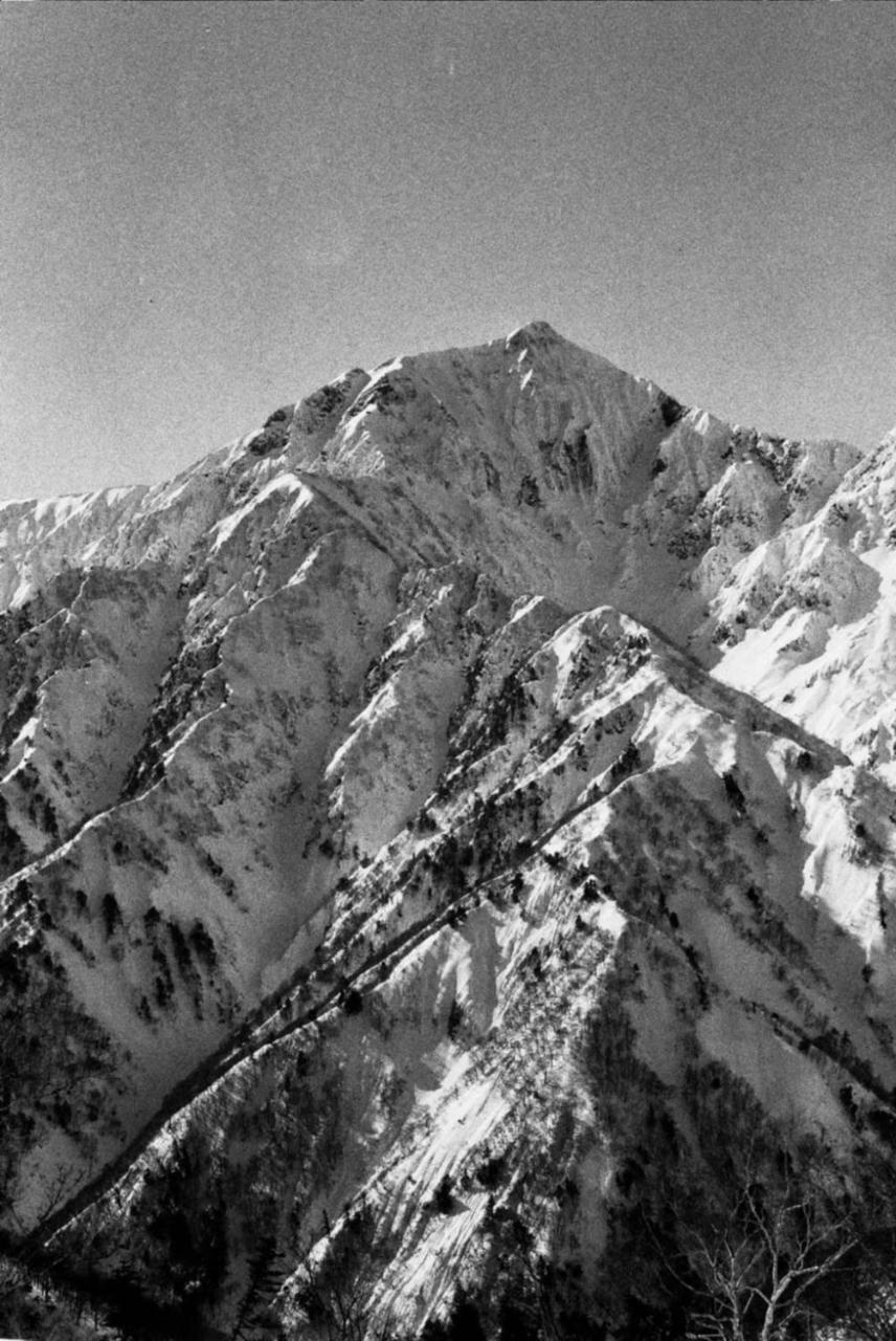 The Bohemians' Shelter Hostel Hakuba Buitenkant foto
